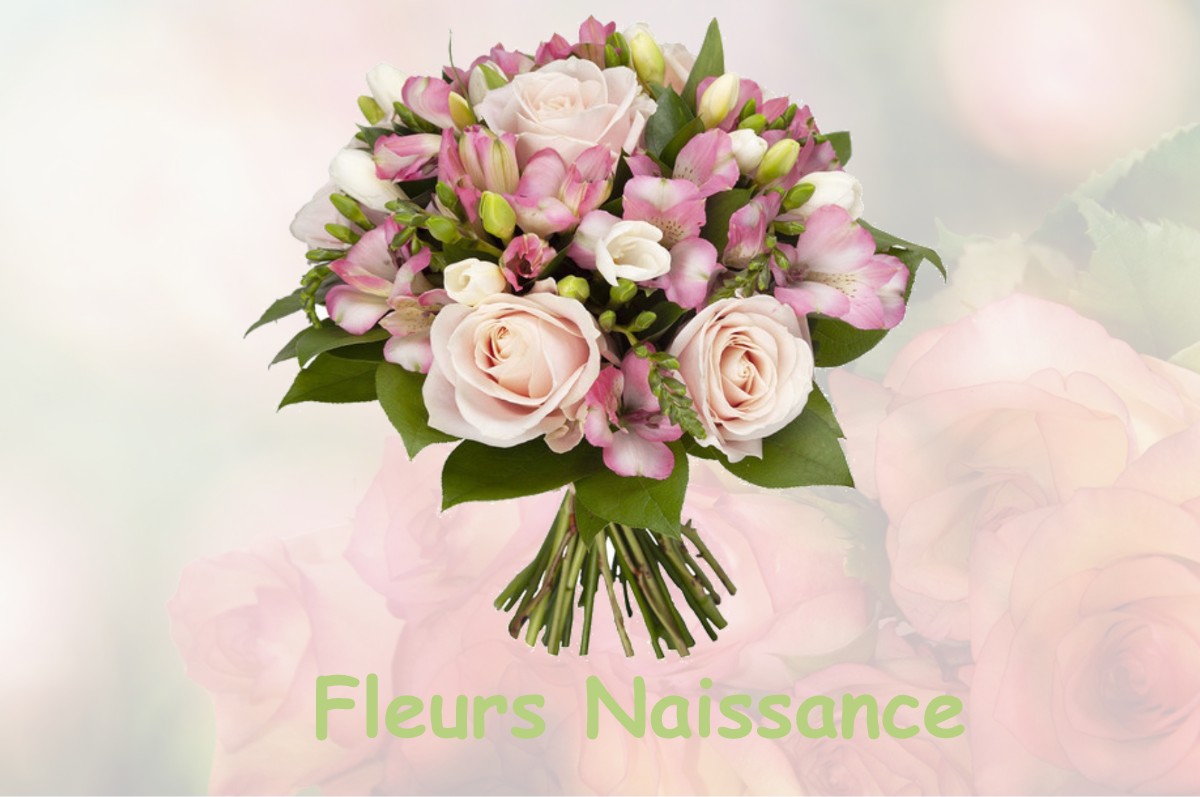 fleurs naissance SAINT-PAUL-LES-MONESTIER