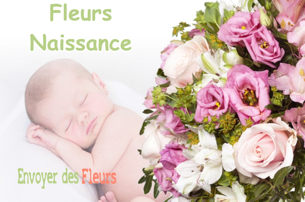 lIVRAISON FLEURS NAISSANCE à SAINT-PAUL-LES-MONESTIER